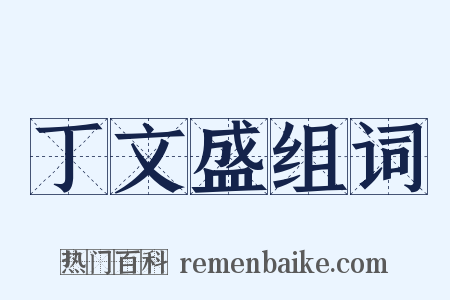 丁文盛组词是什么意思的图片